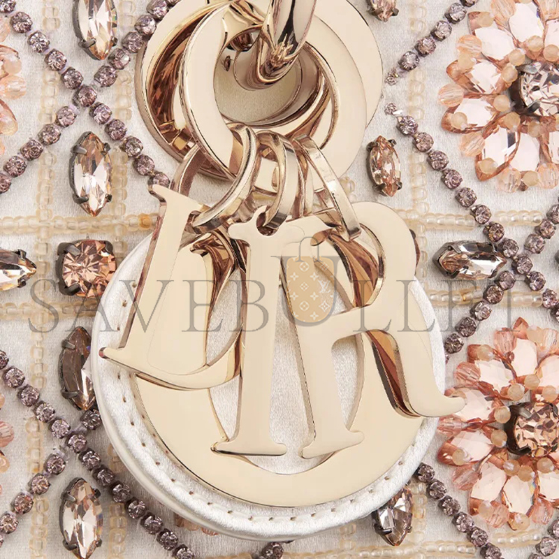 DIOR SMALL LADY D-JOY BAG M0613OIGA-M04I (22*12*6cm)